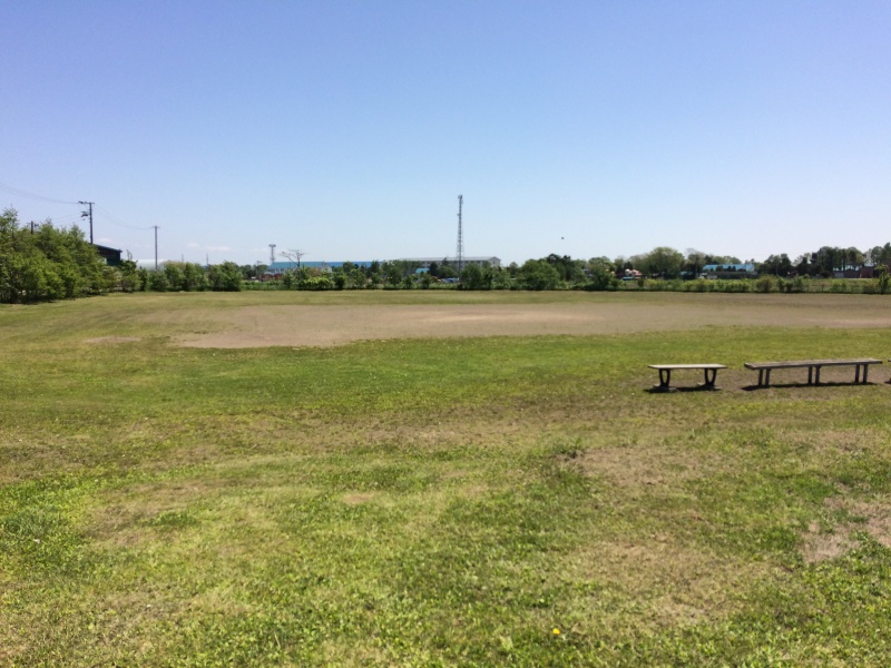 かしわ公園野球場【軟式野球専用】